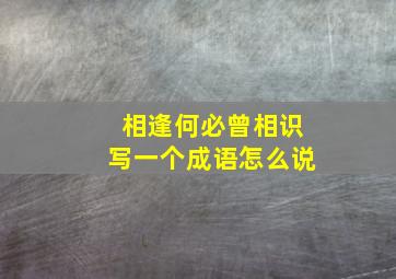 相逢何必曾相识写一个成语怎么说