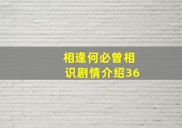 相逢何必曾相识剧情介绍36