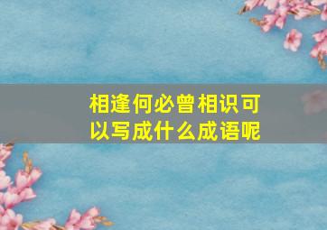 相逢何必曾相识可以写成什么成语呢