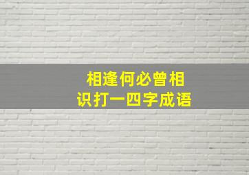 相逢何必曾相识打一四字成语