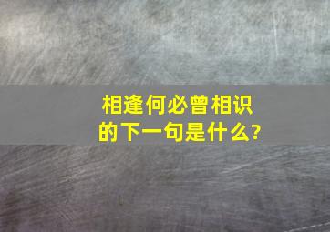 相逢何必曾相识的下一句是什么?