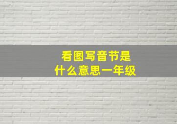 看图写音节是什么意思一年级