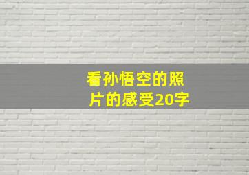 看孙悟空的照片的感受20字