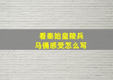 看秦始皇陵兵马俑感受怎么写