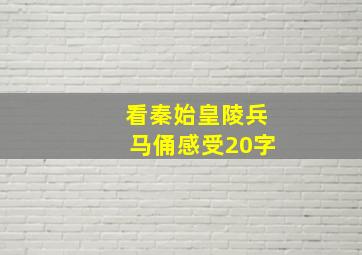 看秦始皇陵兵马俑感受20字