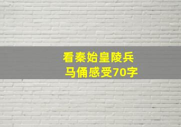 看秦始皇陵兵马俑感受70字