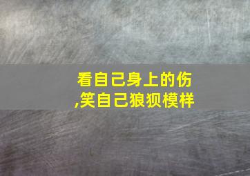 看自己身上的伤,笑自己狼狈模样