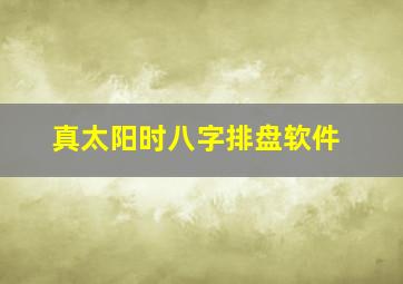 真太阳时八字排盘软件