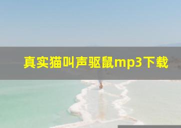 真实猫叫声驱鼠mp3下载