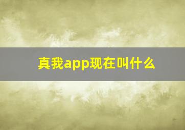 真我app现在叫什么