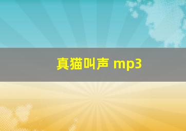 真猫叫声 mp3