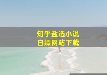 知乎盐选小说白嫖网站下载