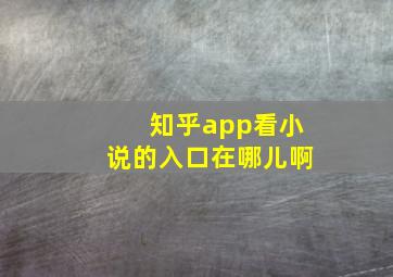 知乎app看小说的入口在哪儿啊