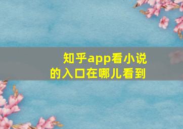 知乎app看小说的入口在哪儿看到