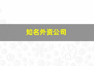 知名外资公司