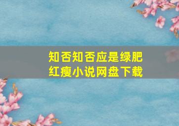 知否知否应是绿肥红瘦小说网盘下载