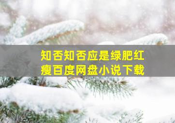 知否知否应是绿肥红瘦百度网盘小说下载