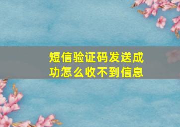 短信验证码发送成功怎么收不到信息