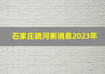 石家庄跳河新消息2023年