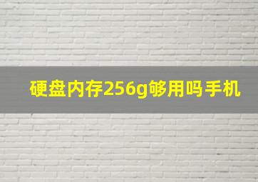 硬盘内存256g够用吗手机