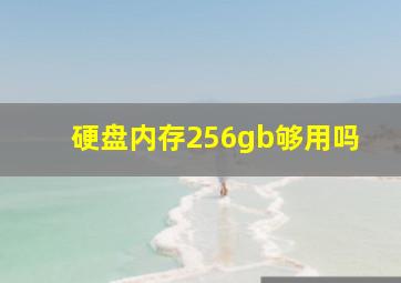 硬盘内存256gb够用吗