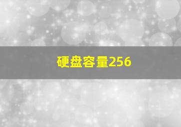 硬盘容量256