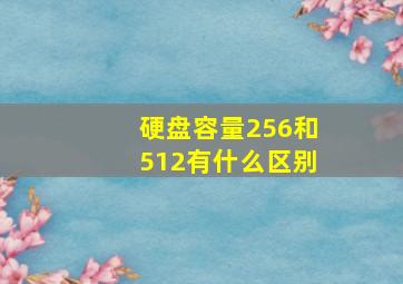 硬盘容量256和512有什么区别