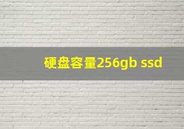 硬盘容量256gb ssd