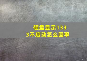 硬盘显示1333不启动怎么回事