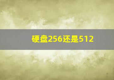 硬盘256还是512