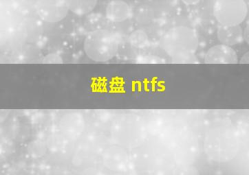 磁盘 ntfs