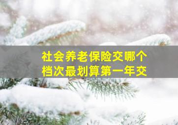 社会养老保险交哪个档次最划算第一年交