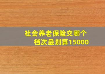 社会养老保险交哪个档次最划算15000