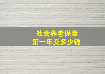 社会养老保险第一年交多少钱