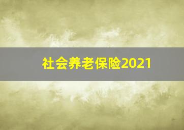 社会养老保险2021