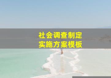 社会调查制定实施方案模板