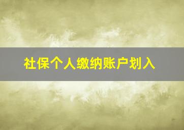 社保个人缴纳账户划入