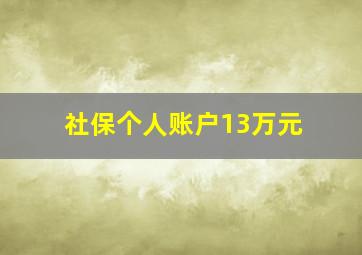 社保个人账户13万元