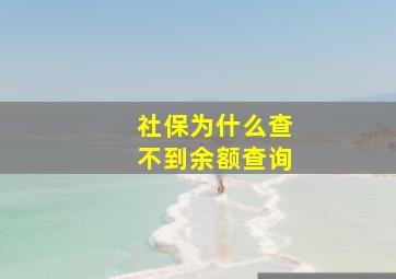 社保为什么查不到余额查询