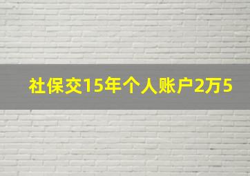 社保交15年个人账户2万5