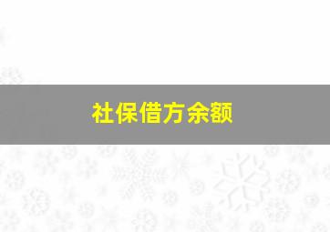 社保借方余额