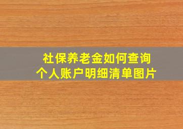 社保养老金如何查询个人账户明细清单图片