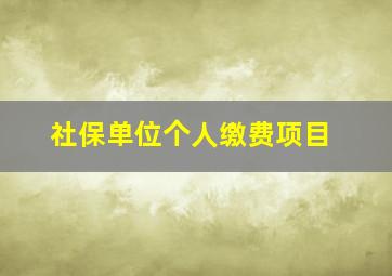 社保单位个人缴费项目