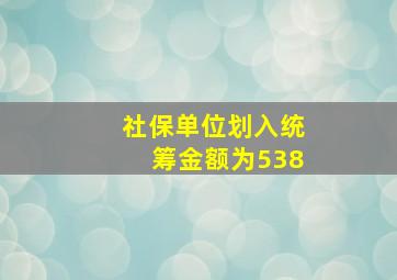 社保单位划入统筹金额为538