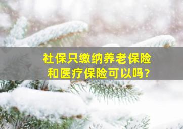 社保只缴纳养老保险和医疗保险可以吗?