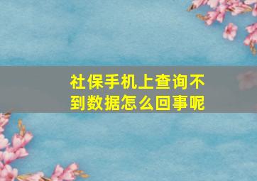 社保手机上查询不到数据怎么回事呢