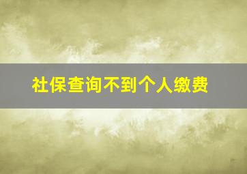 社保查询不到个人缴费