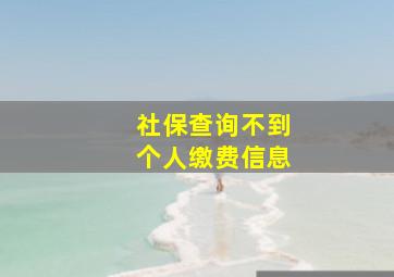 社保查询不到个人缴费信息