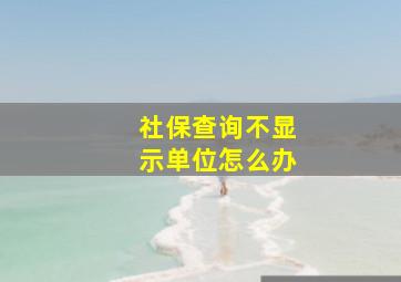 社保查询不显示单位怎么办