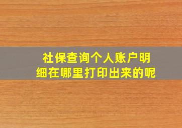 社保查询个人账户明细在哪里打印出来的呢